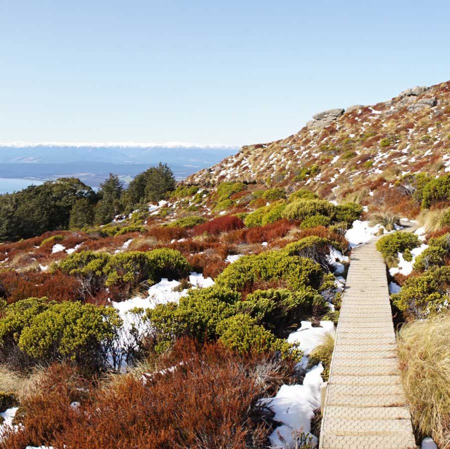 Top 10 Things to do in Te Anau New Zealand