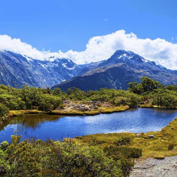 Key Summit Routeburn Track Milford Road